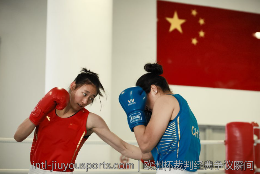 欧洲杯裁判经典争议瞬间